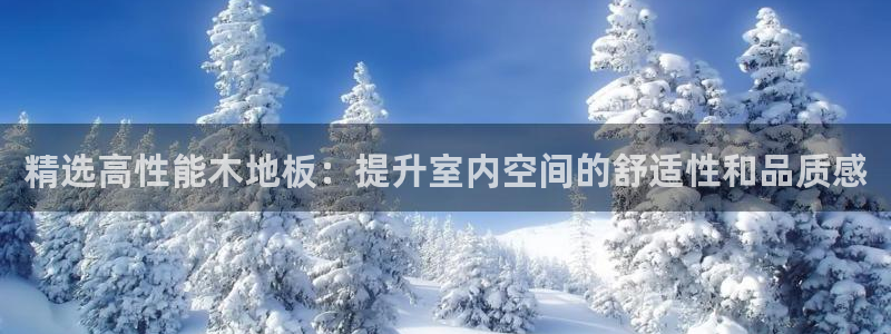 哈哈体育下载：精选高性能木地板：提升室内空间的舒适性和品质感