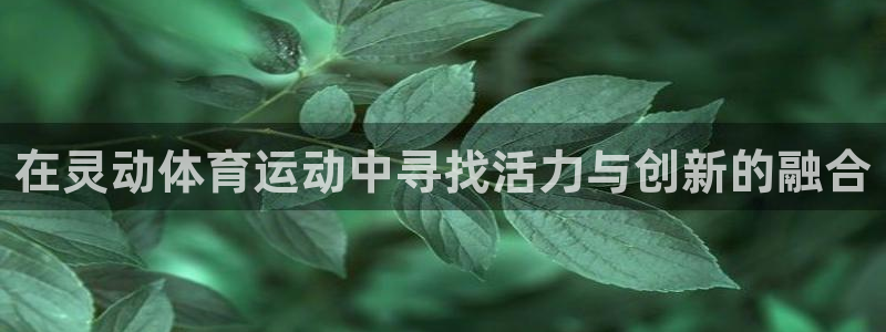 哈哈体育：在灵动体育运动中寻找活力与创新的融合