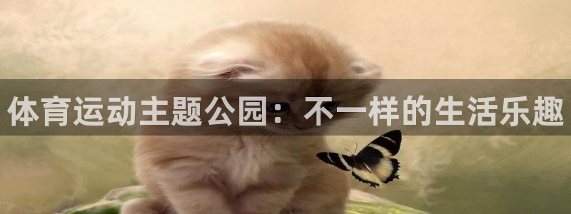 哈哈体育：体育运动主题公园：不一样的生活乐趣