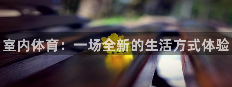 哈哈体育十年：室内体育：一场全新的生活方式体验