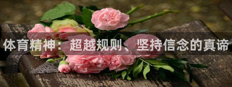 哈哈体育：体育精神：超越规则、坚持信念的真谛