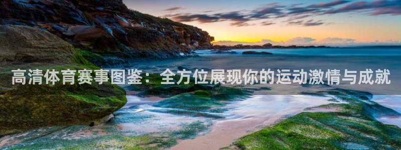哈哈体育：高清体育赛事图鉴：全方位展现你的运动激情与成就