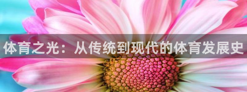 哈哈体育：体育之光：从传统到现代的体育发展史