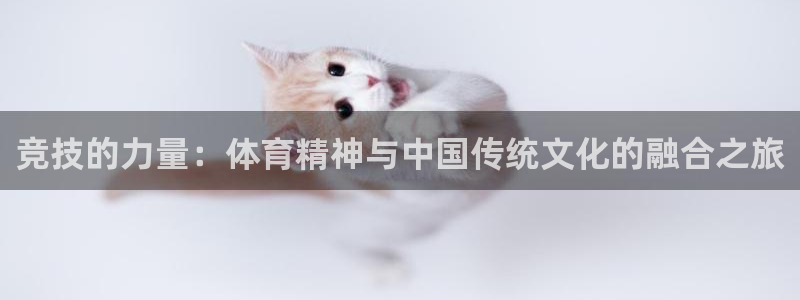 哈哈体育十年：竞技的力量：体育精神与中国传统文化的融合之旅