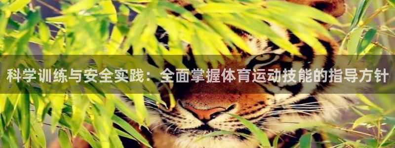 哈哈体育下载：科学训练与安全实践：全面掌握体育运动技能的指导方针