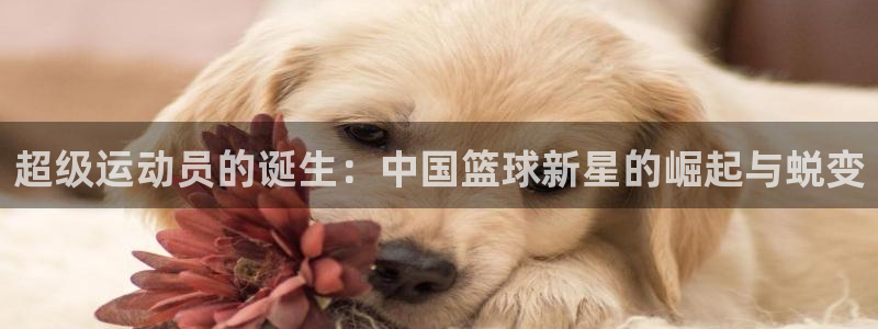 哈哈体育十年：超级运动员的诞生：中国篮球新星的崛起与蜕变