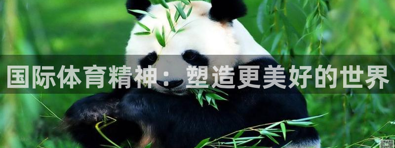 哈哈体育下载：国际体育精神：塑造更美好的世界