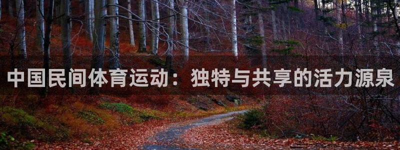 哈哈体育：中国民间体育运动：独特与共享的活力源泉