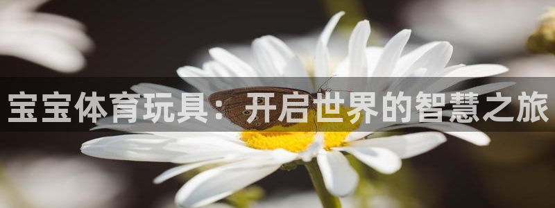 哈哈体育十年：宝宝体育玩具：开启世界的智慧之旅
